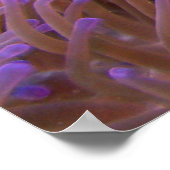 ピエロのまわりにン ポスター (角)