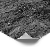 ピエロのまわりに: 1915年 ポスター (角)