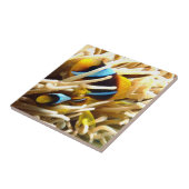 ピエロの魚 タイル (側面)