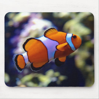 ピエロの魚 マウスパッド