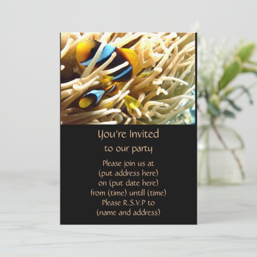 ピエロの魚 招待状 (スタンド正面)