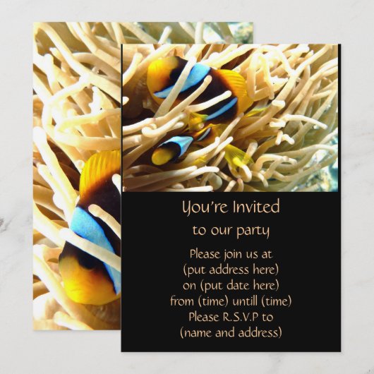 ピエロの魚 招待状 (正面/裏面)