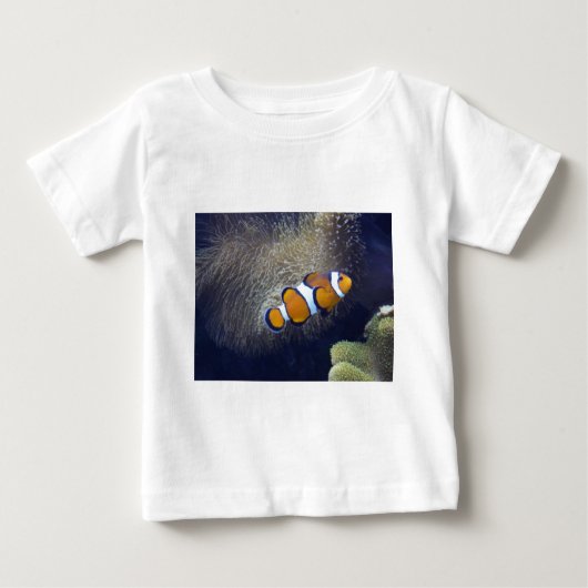 ピエロの魚、2 ベビーTシャツ (正面)