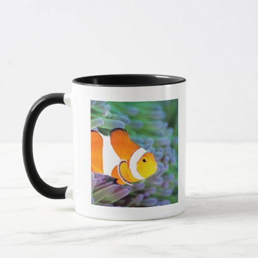 ピエロのanemonefish マグカップ (左)
