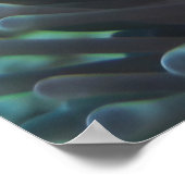 ピエロアネメフィッシュ ポスター (角)