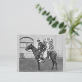 ピエロオン馬, 1915 ポストカード (スタンド正面)