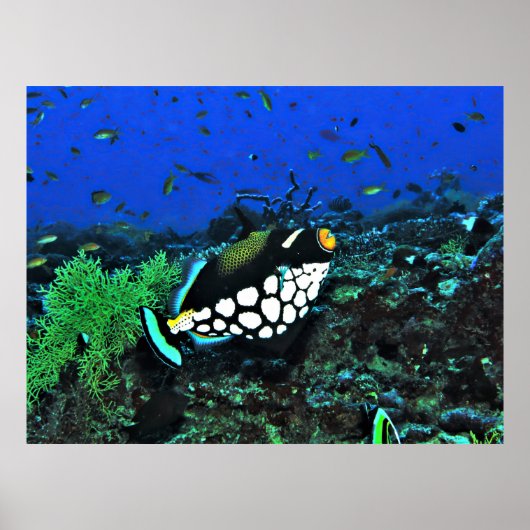 ピエロトリガーオンザリーフ ポスター (正面)