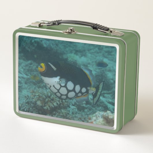 ピエロトリガーフィッシュがベガラグーンフィジーで泳ぐ メタルランチボックス (正面)