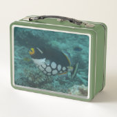 ピエロトリガーフィッシュがベガラグーンフィジーで泳ぐ メタルランチボックス (裏面)