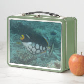 ピエロトリガーフィッシュがベガラグーンフィジーで泳ぐ メタルランチボックス (インサイチュ)