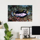 ピエロトリガーフィッシュ ポスター (ホームオフィス)