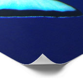 ピエロトリガー（青） ポスター (角)