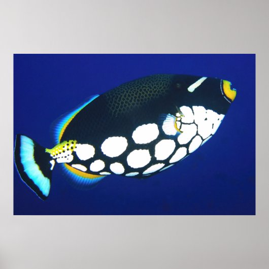 ピエロトリガー（青） ポスター (正面)