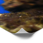 ピエロビス ポスター (角)