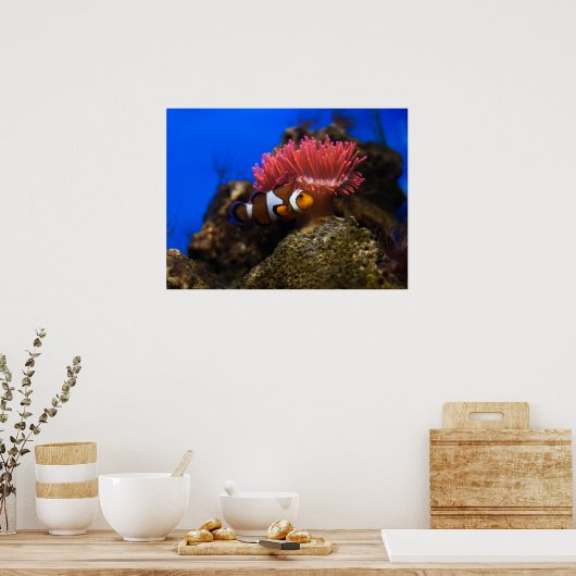 ピエロビス ポスター (キッチン)