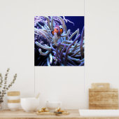 ピエロフィッシュアネモネポスター ポスター (キッチン)