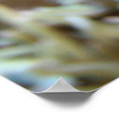 ピエロフィッシュインリーフ ポスター (角)