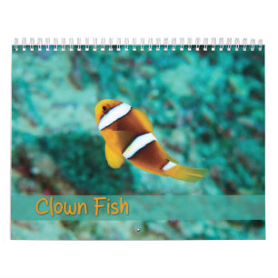 ピエロフィッシュカレンダー – Anemone Fish カレンダー