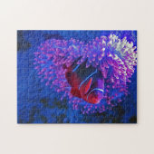 ピエロフィッシュコーラルリーフシークリーチャー海種 ジグソーパズル (横)