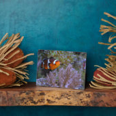 ピエロフィッシュシーアネモネコーラル自然写真 フォトプラーク (側面)