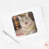 ピエロ猫 スクエアシール (封筒)