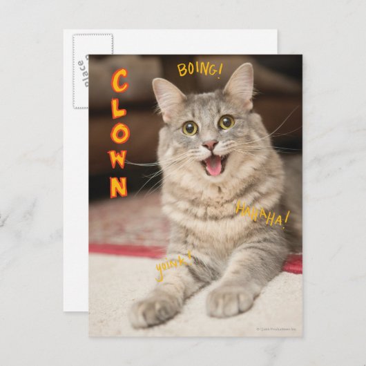 ピエロ猫 ポストカード (正面/裏面)