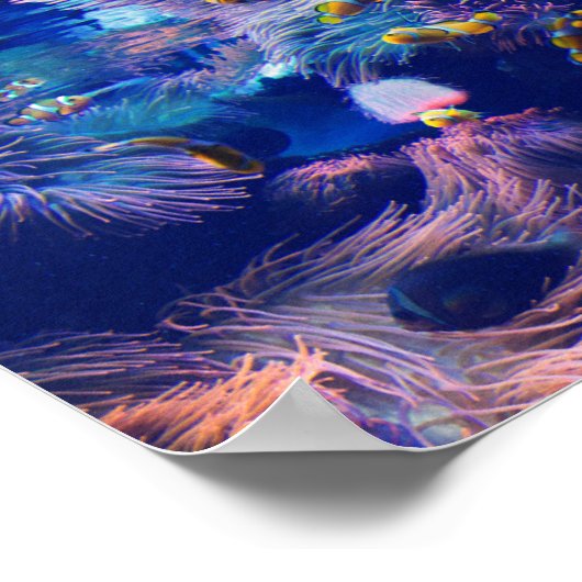 ピエロ魚と紫水族館 ポスター (角)