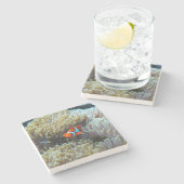 ピエロ魚の珊瑚礁 ストーンコースター (横)