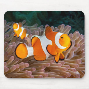 ピエロ魚マウスパッド マウスパッド