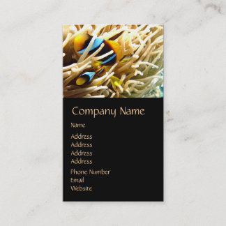 ピエロ魚名刺 名刺