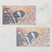 ピエロ魚熱帯魚 名刺 (正面/裏面)