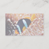 ピエロ魚熱帯魚 名刺 (裏面)