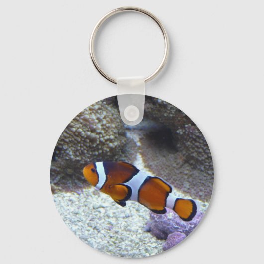 ピエロ魚 キーホルダー (正面)