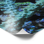 ピエロ魚inサンゴ フォトプリント            (角)