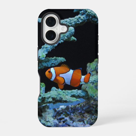 ピエロ魚inサンゴ iPhone 16ケース (裏面)