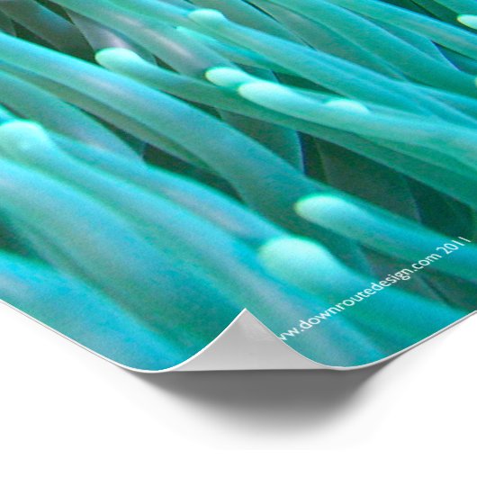 ピエロ ポスター (角)