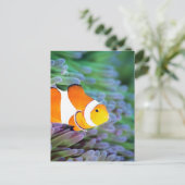 ピエロ ポストカード (スタンド正面)