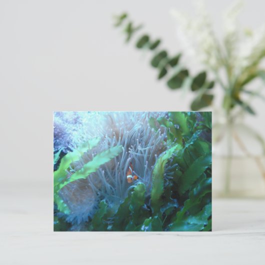 ピエロ ポストカード (スタンド正面)