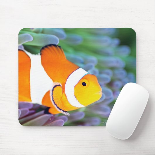 ピエロ マウスパッド (マウス)