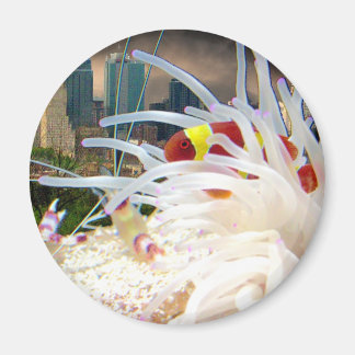 ピエロ マグネット