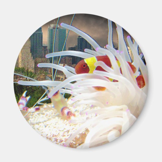 ピエロ マグネット (正面)