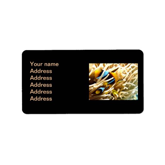 ピエロ ラベル (正面)