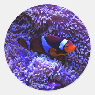 ピエロ#2ステッカー ラウンドシール