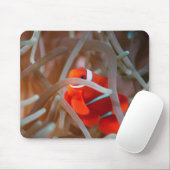 ピエロANEMONEFISH 2 マウスパッド (マウス)