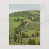 ピエンツァからモンテプルチアーノへの道 ポストカード (正面)