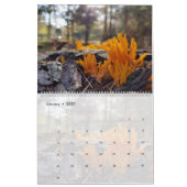 ピエンパノのキノコ写真 カレンダー (1月 2027)