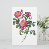 ピエールジョセフレドゥテバラ 便箋 (スタンド正面)