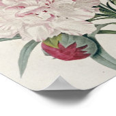 ピエールジョセフレドゥート – カーネーション ポスター (角)