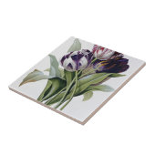 ピエールジョセフレドゥート – チューリップ タイル (側面)