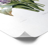 ピエールジョセフレドゥート – チューリップ ポスター (角)